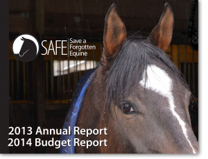 2013-Annual-Report-image