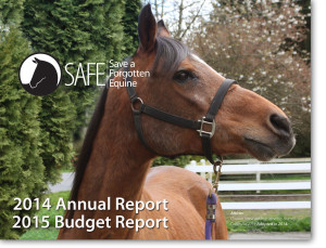 2014-Annual-Report-image