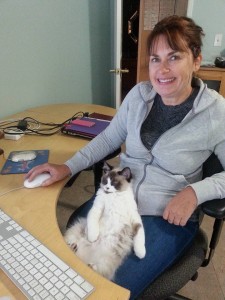 Carol at the SAFE office, entertaining Bodie the office kitten