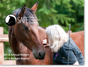 2015-Annual-Report-image