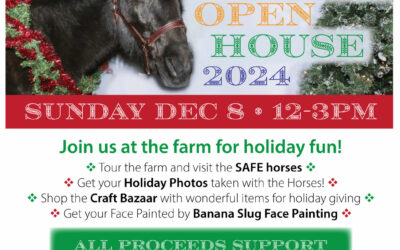 2024 SAFE Holiday Open House