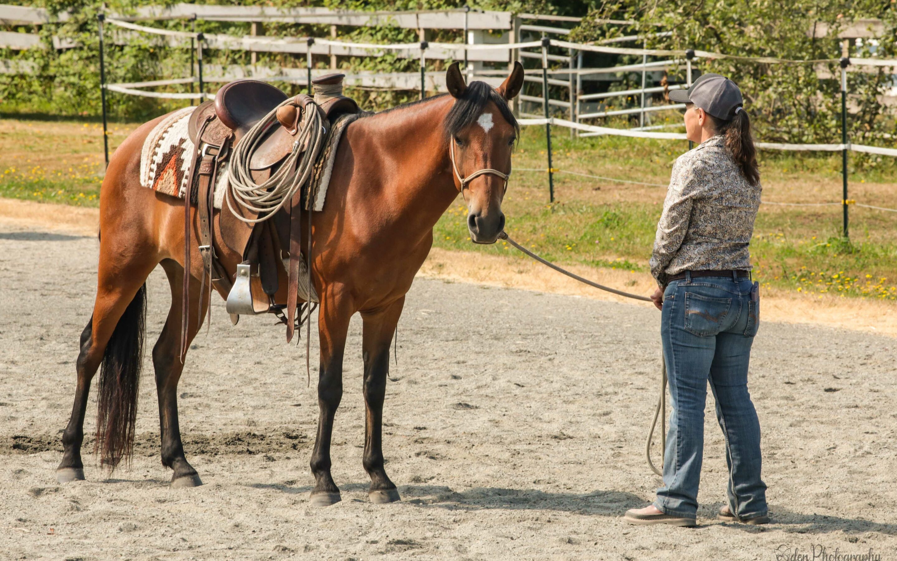 August Joel Conner Clinic Report: Barb