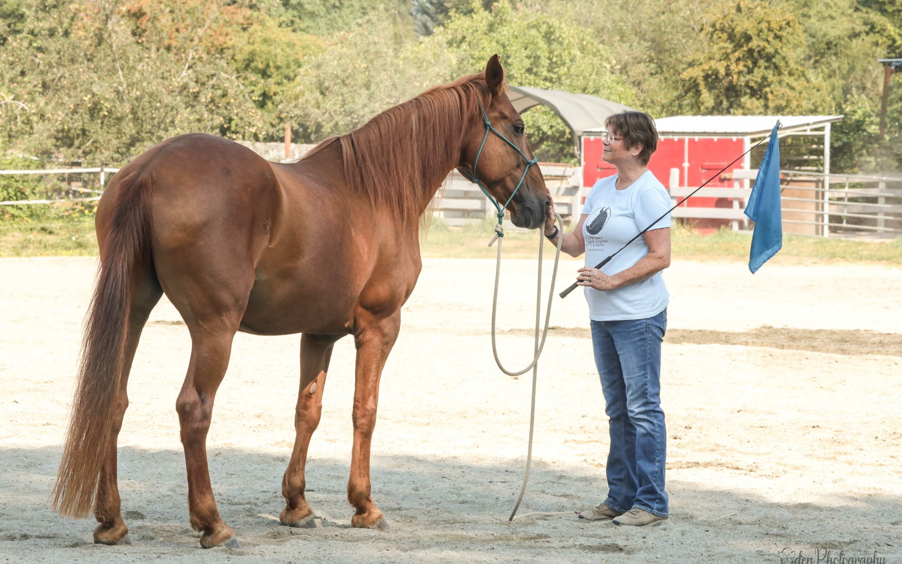 August Joel Conner Clinic Report: Sienna