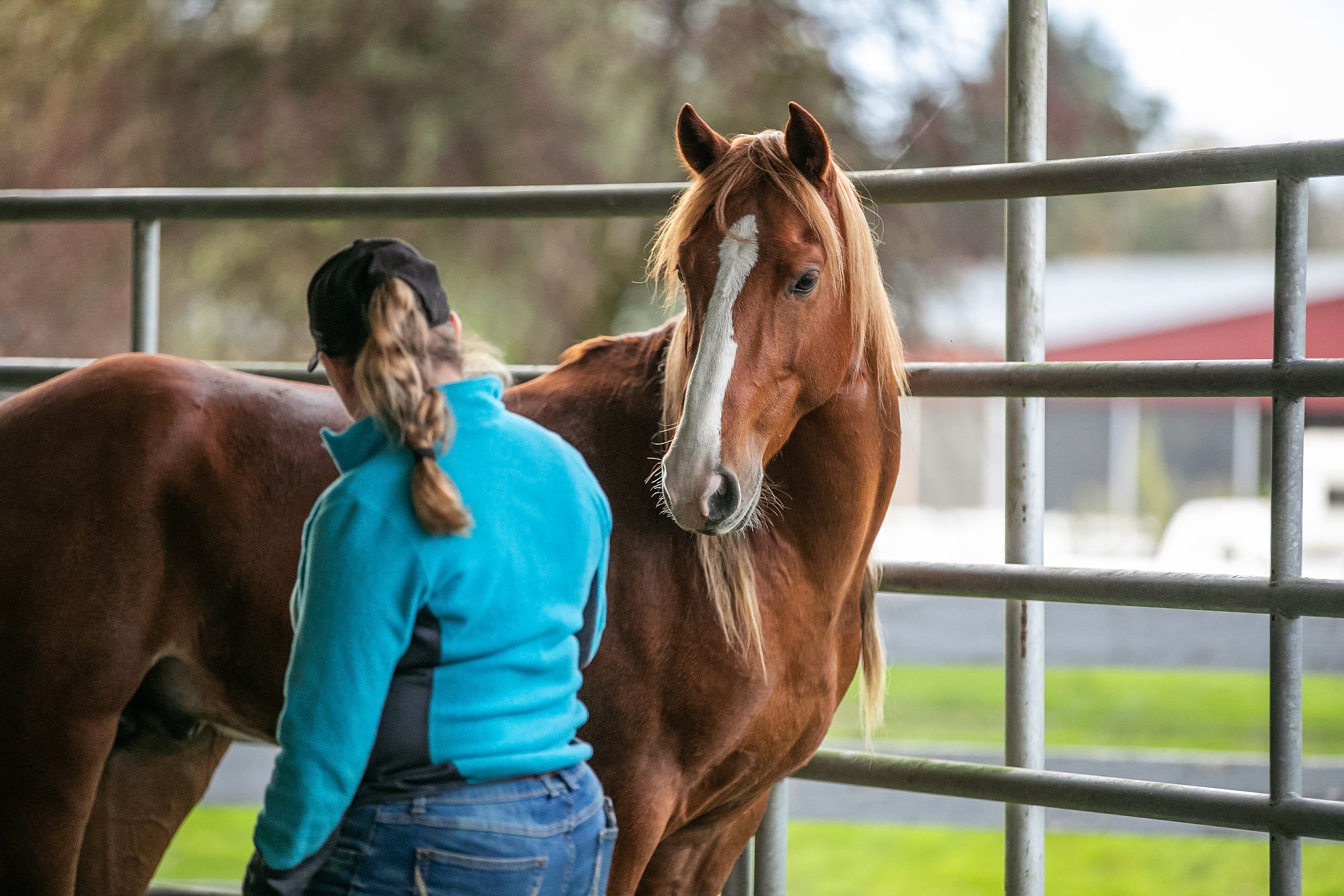 A Gentle Start: Cooper’s Path to Trust and Comfort