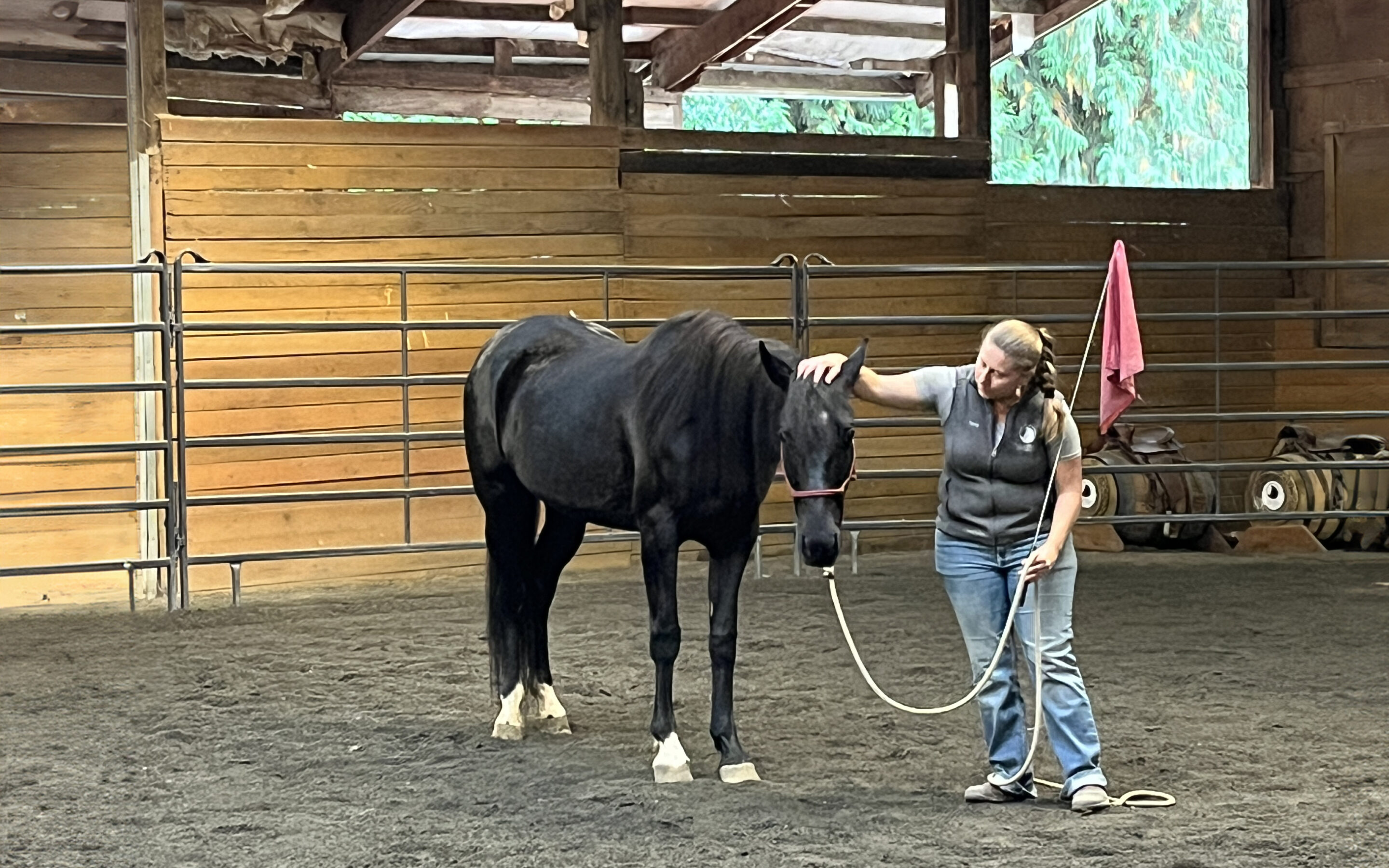 Mahina’s Progress: A Gentle Soul Learning to Shine