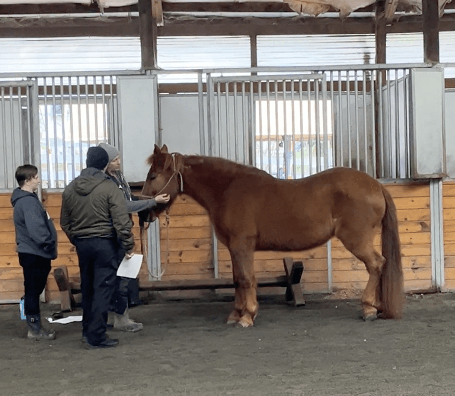 Snohomish Animal Control Officer Training